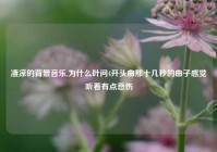 凄凉的背景音乐,为什么叶问4开头曲那十几秒的曲子感觉听着有点悲伤