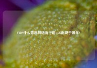 YYDS什么意思网络流行语,yyds出现于哪年?