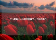 汪小菲和大s,大S是不是嫁了一个假的豪门