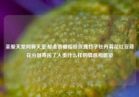 圣爱天堂网聊天室,郁金香橄榄枝玫瑰竹子牡丹菊花红豆荷花分别寄托了人类什么样的情感和愿望