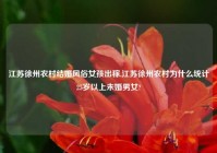 江苏徐州农村结婚风俗女孩出稼,江苏徐州农村为什么统计25岁以上未婚男女?