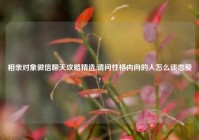 相亲对象微信聊天攻略精选,请问性格内向的人怎么谈恋爱?