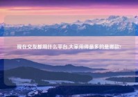 现在交友都用什么平台,大家用得最多的是哪款?