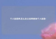 个人信息网,怎么在公安网查询个人信息?