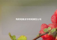 妈的笔顺,欣字的笔顺怎么写