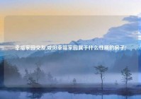 幸福家园交友,咸阳幸福家园属于什么性质的房子?