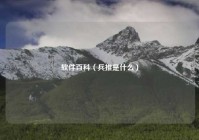 软件百科（兵推是什么）