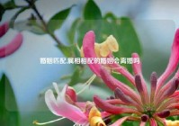 婚姻匹配,属相相配的婚姻会离婚吗