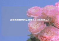 最新免费相亲网站,有什么正规的相亲app?