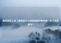 杨梅酒怎么泡（杨梅酒什么时候喝最好杨梅酒一年了还能喝吗）