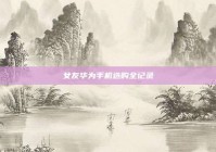 女友华为手机选购全记录