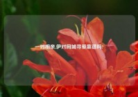 一对相亲,伊对同城寻爱靠谱吗?