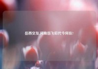 岳西交友,河南岳飞后代今何在?