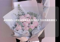 最佳拍档4（哈利波特魔法手游中的入学任务都有哪些）