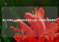 找工作老乡上8小时的双休,每天上班八小时的工作有哪些?