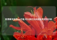 免费聊天软件app下载,可以拨打任何固定电话或手机