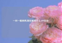 一对一相亲网,现在都用什么APP交友?