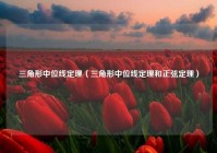 三角形中位线定理（三角形中位线定理和正弦定理）