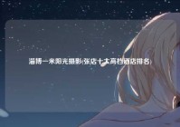 淄博一米阳光摄影(张店十大高档酒店排名)