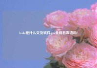 lesdo是什么交友软件,gkc金钥匙靠谱吗?