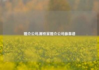 婚介公司,哪些家婚介公司最靠谱