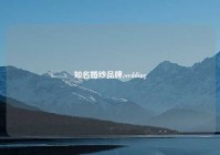 知名婚纱品牌,wedding