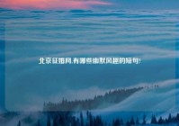 北京征婚网,有哪些幽默风趣的短句?