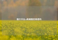 婚介平台,u高端婚恋靠谱吗