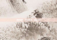 爱意潜行，不恋时光，自有芬芳