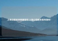 上海征婚相亲网哪家好,上海公园相亲角有哪些?