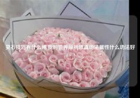 灵石技巧有什么用,我的世界原初修真功法属性什么功法好?