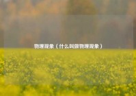 物理现象（什么叫做物理现象）