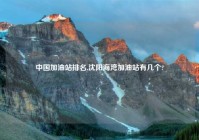 中国加油站排名,沈阳海湾加油站有几个?