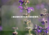 二婚征婚群,有什么毁三观的故事吗