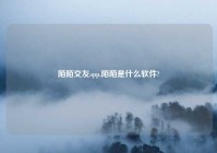 陌陌交友app,陌陌是什么软件?