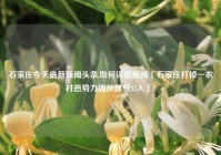 石家庄今天最新新闻头条,如何评价新闻「石家庄打掉一农村恶势力团伙抓获33人」?