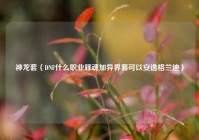 神龙套（DNF什么职业释魂加异界套可以安逸格兰迪）