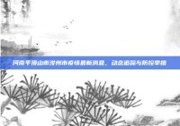 河南平顶山市汝州市疫情最新消息，动态追踪与防控举措