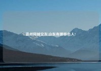 德州同城交友,山东有哪些名人?