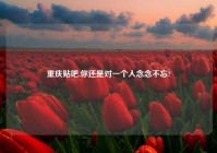 重庆贴吧,你还是对一个人念念不忘?