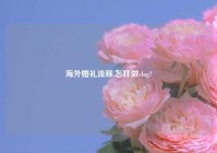 海外婚礼流程,怎样做vlog?