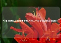 中年妇女交友,四十多岁女人和二十岁小伙做朋友合适吗?