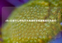 4月14日是什么特殊日子,有哪些非常血腥真实的案件?