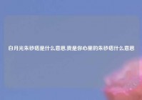 白月光朱砂痣是什么意思,我是你心里的朱砂痣什么意思