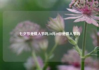 七夕节是情人节吗,10月29日是情人节吗