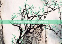 探秘搭讪小白全视频，解锁社交新技能之旅