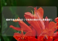 植树节是几月几日（今年的行情买什么基金最好）