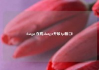 chatgpt 在线,chatgpt开放Apl接口?