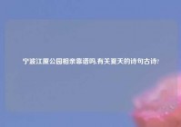 宁波江厦公园相亲靠谱吗,有关夏天的诗句古诗?
