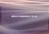 爱密码,华为爱派密码忘了怎么办?